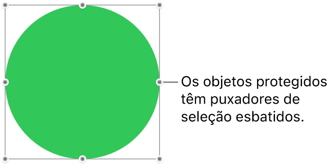 Um objeto protegido com puxadores de seleção esbatidos.