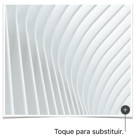 Uma imagem com um botão “Substituir imagem”.