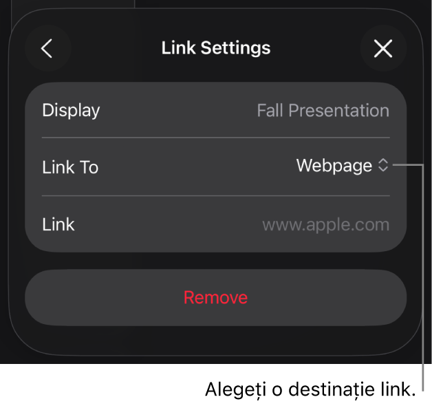 Comenzile Configurări link cu opțiunea Pagină web selectată și butonul Eliminați în partea de jos.