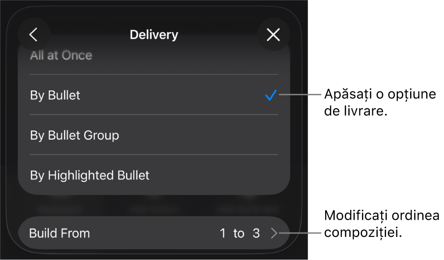 Opțiuni de livrare în panoul Intrare.