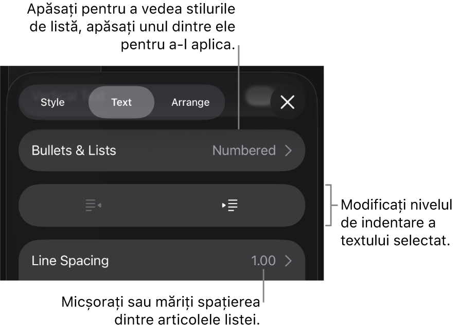 Secțiunea Marcatori/liste din comenzile Format cu explicații pentru Marcatori/liste, butoanele de indentare și indentare exterioară, precum și comenzile pentru spațierea liniilor.