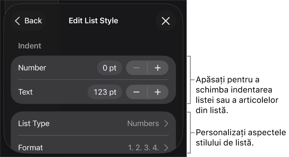 Meniul de editare a stilului de listă cu comenzile pentru editarea tipului și aspectului listei.