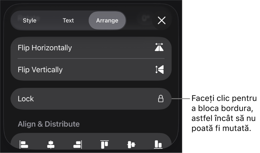 Comenzile Aranjare din meniul Format, cu butonul Blochează evidențiat.