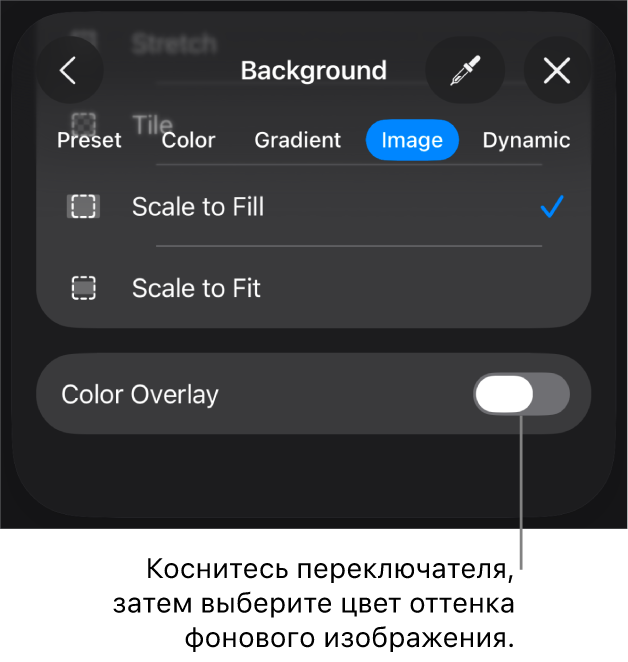 Показаны элементы управления фоном; в качестве фона слайда выбрано изображение, в нижней части расположен элемент управления «Наложение цвета».