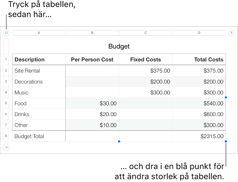 En markerad tabell med blå punkter som används till att ändra storleken.