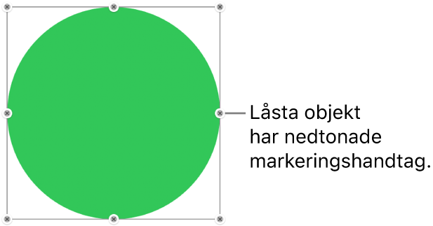 Ett låst objekt med nedtonade markeringshandtag.