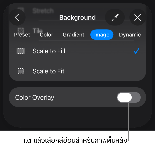 ตัวควบคุมพื้นหลัง โดยที่ภาพถูกตั้งค่าเป็นพื้นหลังของสไลด์ และตัวควบคุมการทับซ้อนสีอยู่ด้านล่างสุด