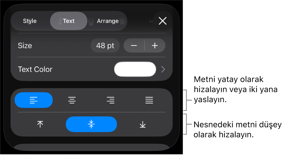 Metin hizalama düğmelerine belirtimler gösteren Biçim düğmesinin Hizalama bölümü.