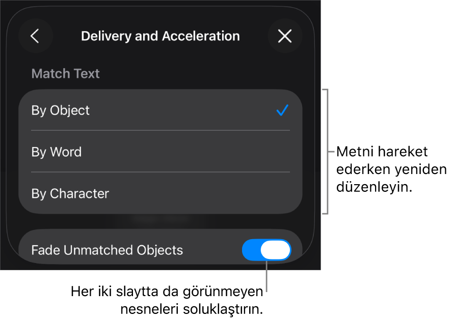 Hızlandırma bölümündeki Sihirli Taşıma gönderim ve hızlandırma seçenekleri.