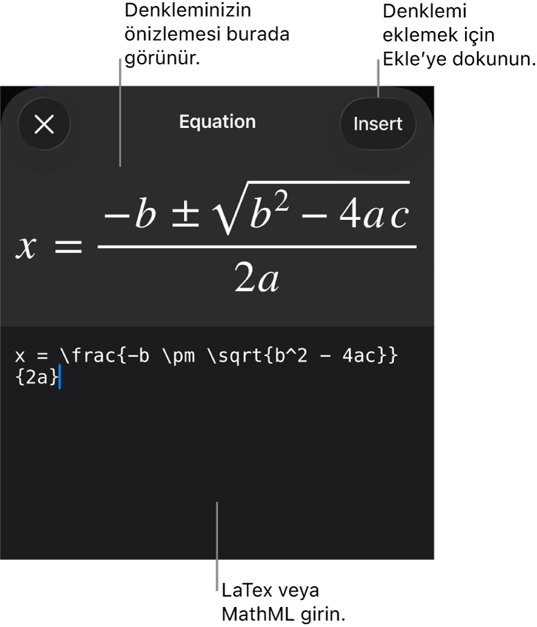 MathML komutları kullanılarak yazılmış bir denklemi ve onun üstünde formülün önizlemesini gösteren Denklem sorgu kutusu.
