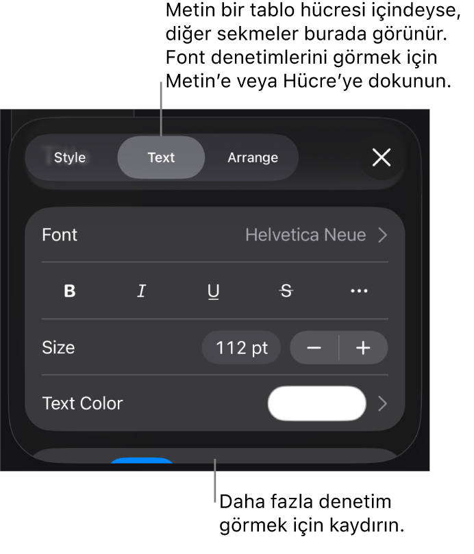Paragraf ve karakter stillerini, fontunu, boyutunu ve rengini ayarlamak için Biçim menüsündeki metin kontrolleri.