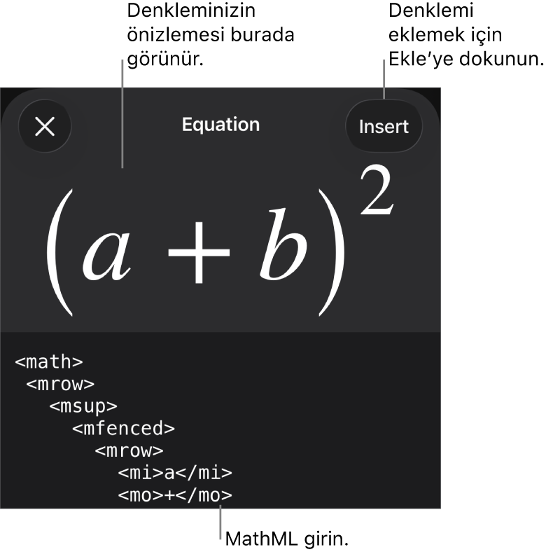 MathML komutları kullanılarak yazılmış bir denklemi ve onun üstünde formülün önizlemesini gösteren Denklem sorgu kutusu.