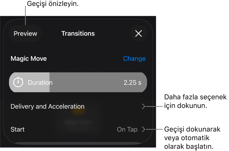 Geçişler bölümündeki Sihirli Taşıma denetimleri.