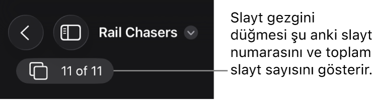 Şu anki slayt numarasını ve sunudaki toplam slayt sayısını gösteren slayt gezgini düğmesi.