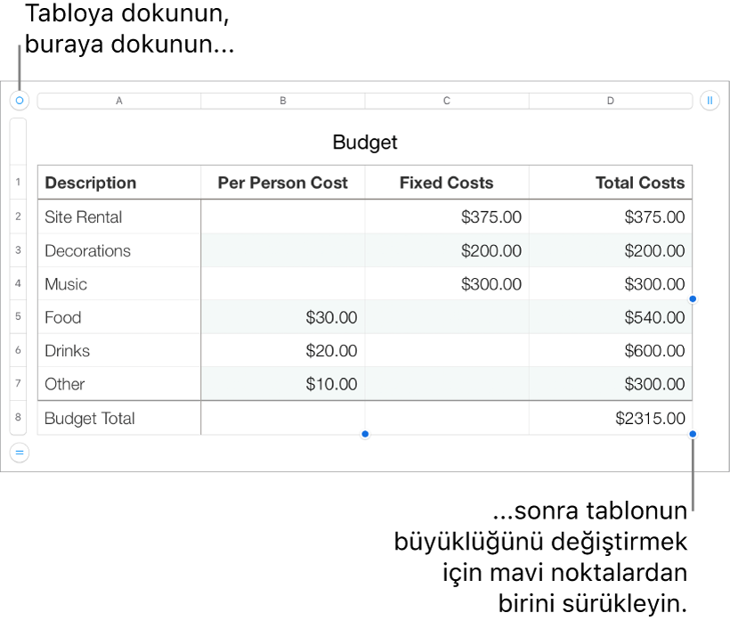 Yeniden boyutlandırma için mavi noktaları bulunan seçili bir tablo.