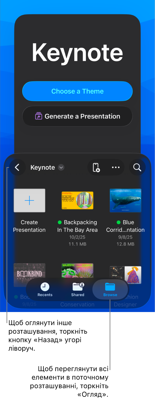 Режим огляду менеджера документів із кнопкою «Назад» у лівому верхньому куті, а також полем «Пошук» унизу. У верхньому правому кутку розташовані кнопки «Додати», «Більше» та «Пульт». Унизу екрана розташовано кнопки «Недавні», «Спільне» та «Огляд».