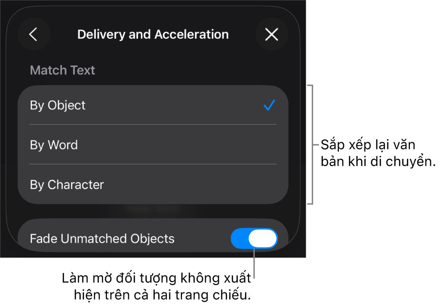Các tùy chọn thực hiện và tăng tốc Chuyển động ma thuật trong khung Tăng tốc.