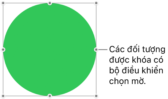 Một đối tượng bị khóa có các bộ điều khiển chọn bị làm mờ.