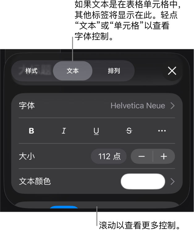 “格式”菜单中的“文本”控制，用于设定段落和字符样式、字体、大小和颜色。