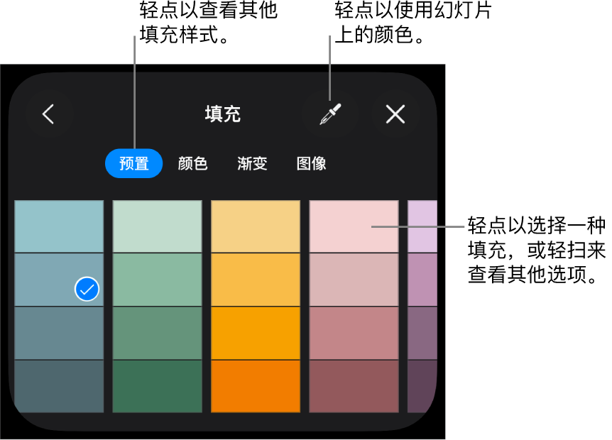 “样式”标签中的“填充”选项。