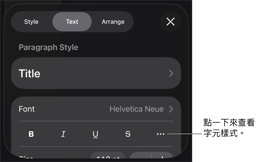 具備段落樣式的「格式」控制項目在最上方，然後是「字體」控制項目。「字體」下方為「粗體」、「斜體」、「底線」、「刪除線」和「更多文字選項」按鈕。