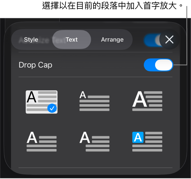 「首字放大」控制項目位於「文字」選單。