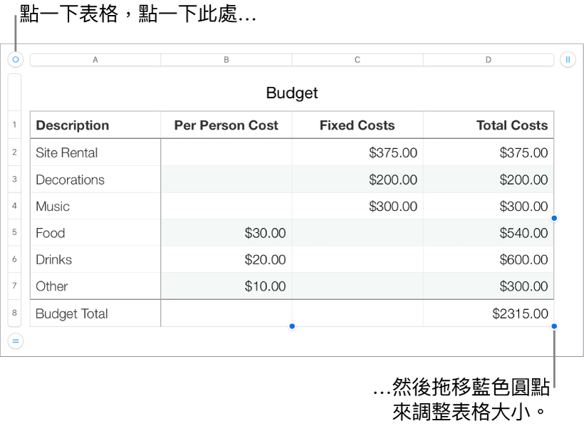 選取的表格，帶有調整大小的藍色圓點。