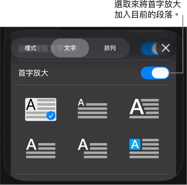 「首字放大」控制項目位於「文字」選單中。