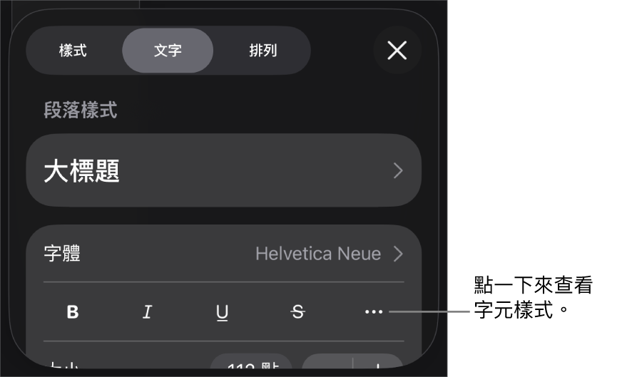 帶有段落樣式的「格式」控制項目位於最上方,然後是「字體」控制項目。「字體」下方為「粗體」、「斜體」、「底線」、「刪除線」和「更多文字選項」按鈕。