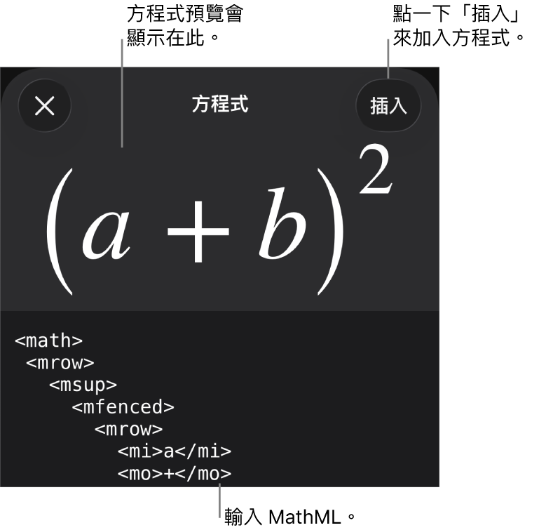 「方程式」對話框，顯示使用 MathML 指令寫入的方程式，上方是公式的預覽。