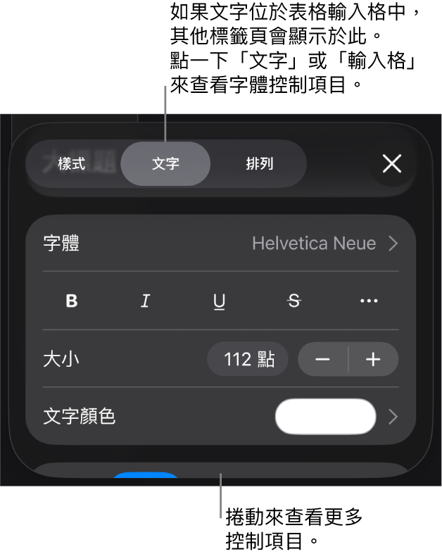 「格式」選單中設定段落及字元樣式、字體、大小和顏色的文字控制項目。