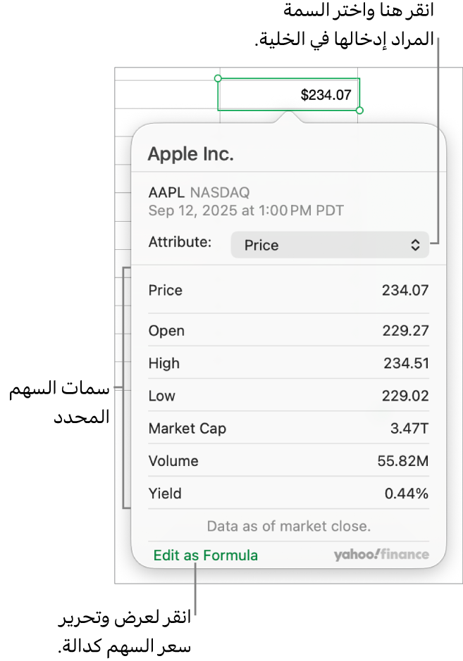مربع حوار إدخال معلومات سمة السهم، مع تحديد Apple كسهم.
