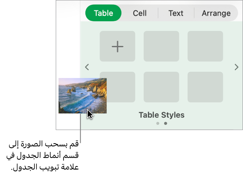 سحب صورة إلى أنماط الجدول لإنشاء نمط جديد.