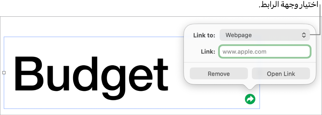عناصر التحكم في محرر الرابط حيث يوجد الخيار صفحة الويب محددًا وتظهر أزرار إزالة وفتح الرابط في الأسفل.