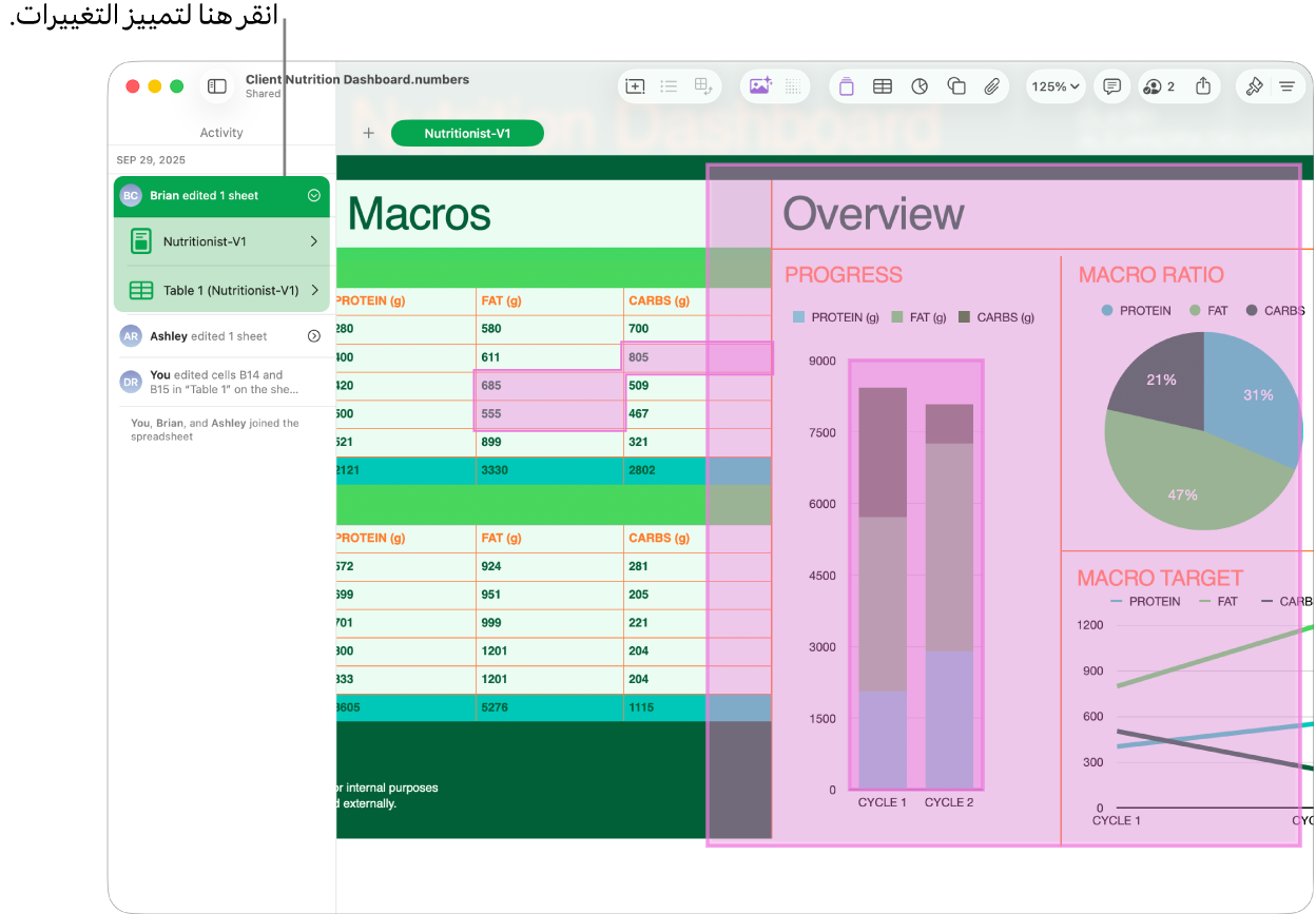 جدول بيانات تعاوني مفتوح عليه كل من قائمة التعاون وقائمة الأنشطة.