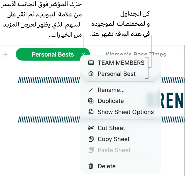 علامة تبويب جدول بيانات بها قائمة اختصارات مفتوحة، وتعرض خيارات منها تكرار.