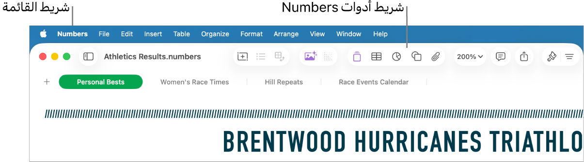 شريط القائمة في الجزء العلوي من الشاشة وبه قوائم Apple و Numbers وملف وتعديل وإدراج وجدول وتنظيم وتنسيق وترتيب وعرض ونافذة ومساعدة. أسفل شريط القائمة يوجد جدول بيانات Numbers مفتوح به أزرار شريط الأدوات على طول الجزء العلوي لكل من عرض وتكبير/تصغير وإضافة فئة وجدول محوري وإدراج وجدول ومخطط ونص.