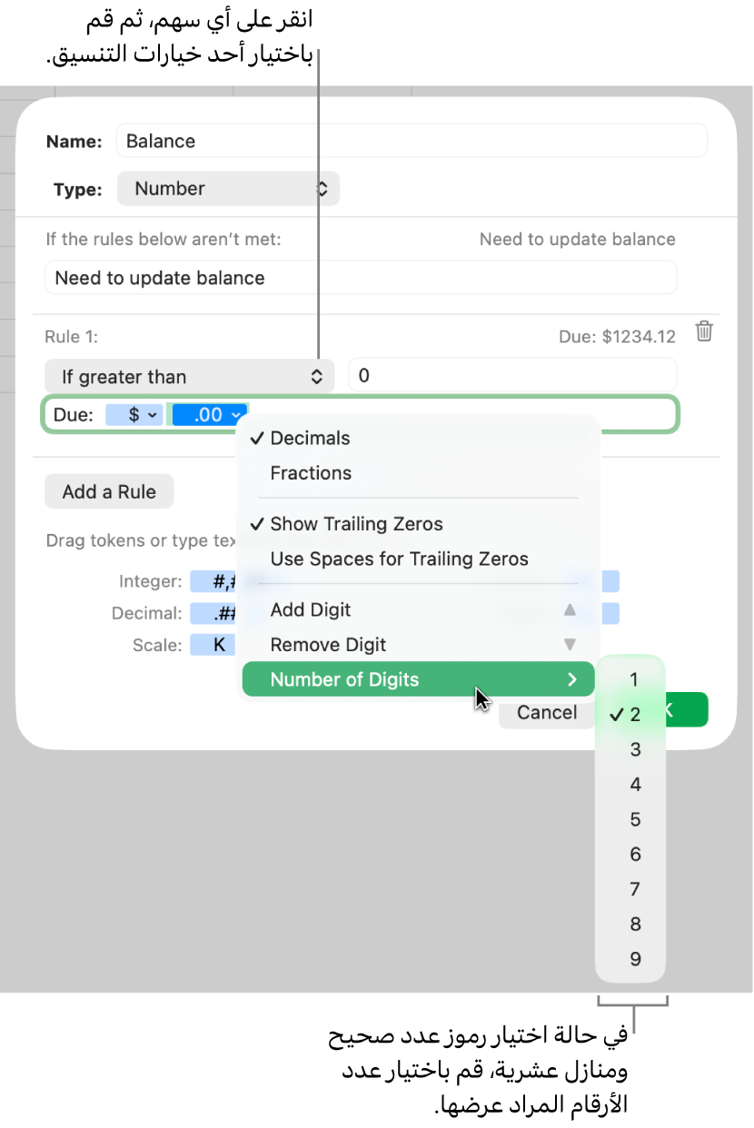 نافذة تنسيق خلية مخصصة مع عناصر التحكم لاختيار خيارات التنسيق المخصص.