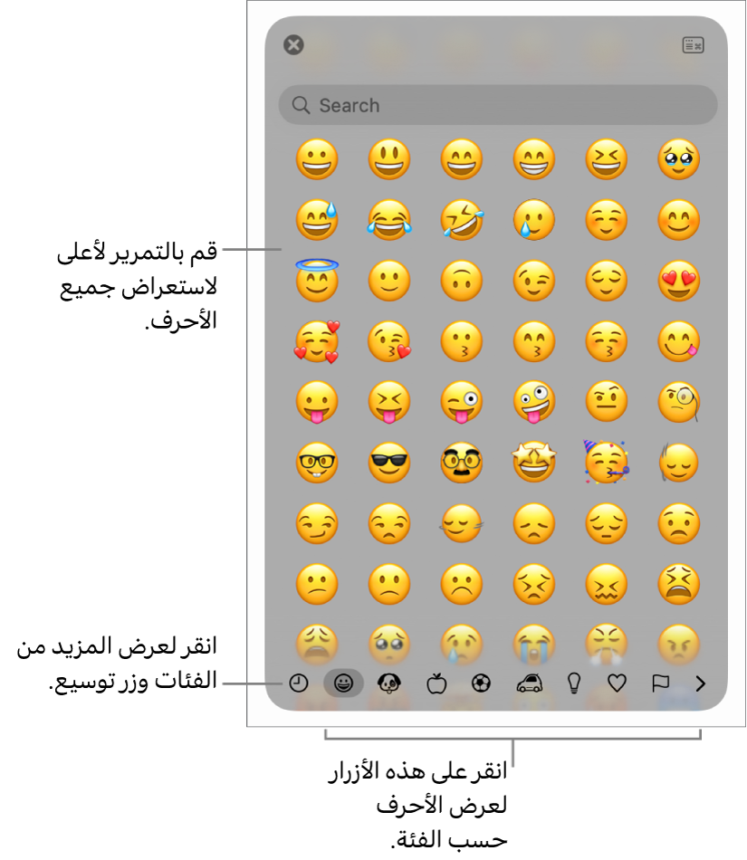 نافذة الأحرف الخاصة وتعرض رموز المشاعر وأزرارًا لأنواع مختلفة من الرموز في الجزء السفلي، ووسيلة شرح لزر لعرض نافذة الأحرف بالكامل.