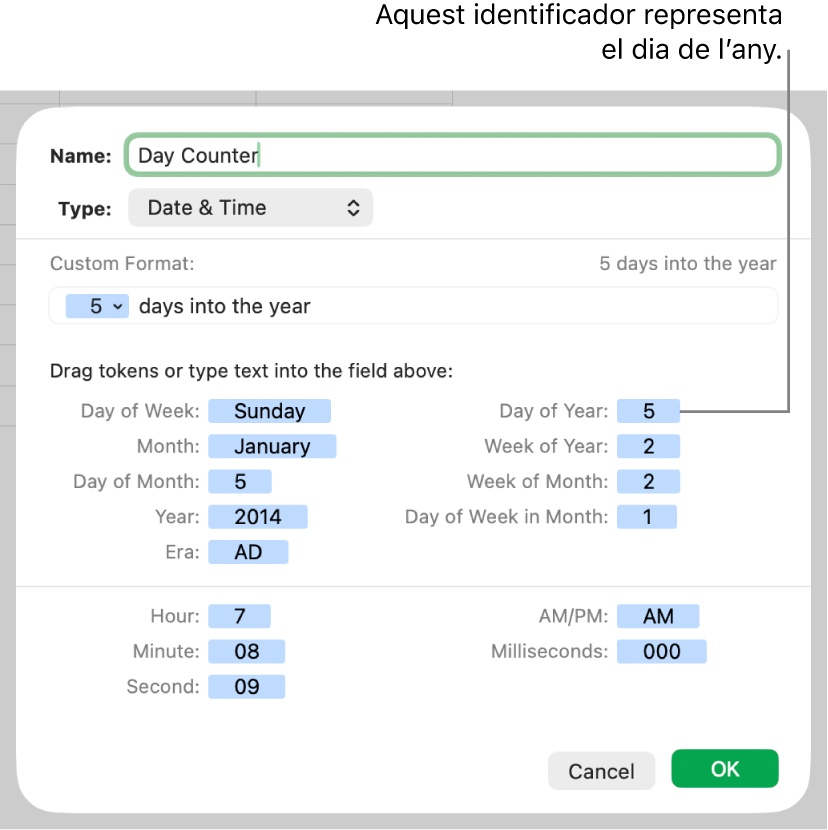 Format personalitzat de cel·la de data i hora.