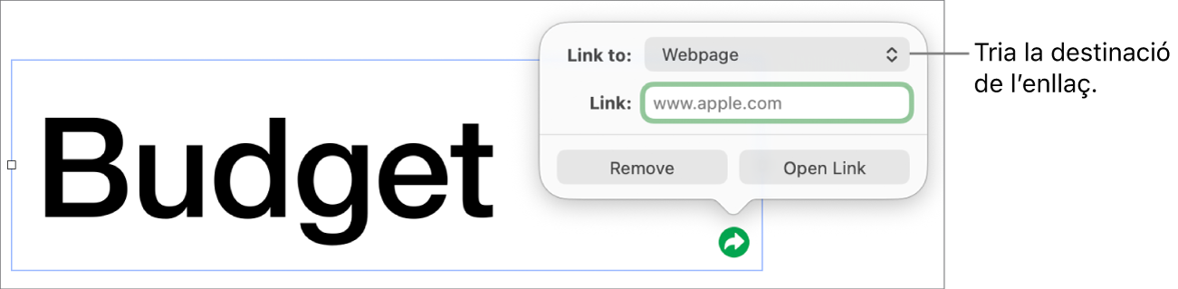 Controls de l’editor d’enllaços amb l’opció “Pàgina web” seleccionada i els botons “Elimina” i “Obre l’enllaç” situats a la part inferior.