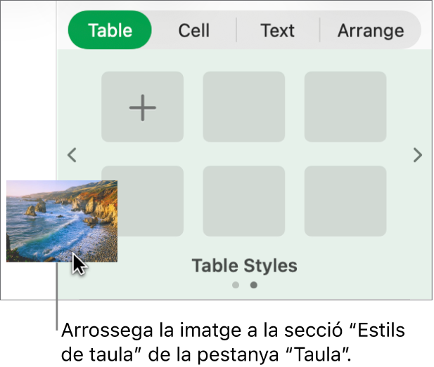 Arrossegar una imatge als estils de taula per crear un nou estil.