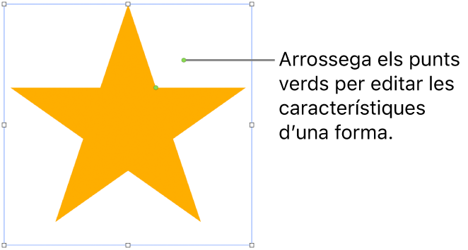 Una forma amb marcadors de selecció.