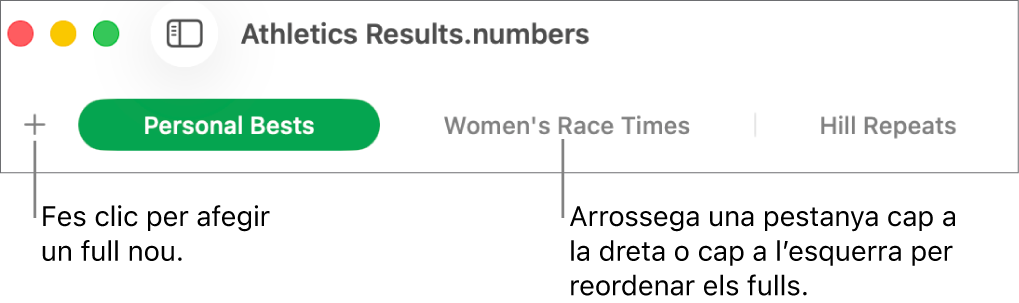 Barra de pestanyes per afegir un nou full de treball i reordenar els fulls.