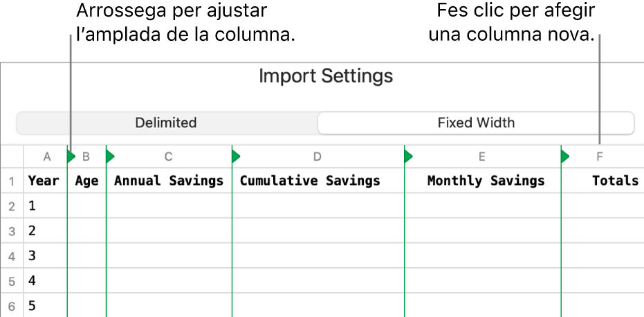 Els paràmetres d’importació d’un arxiu de text d’amplada fixa.
