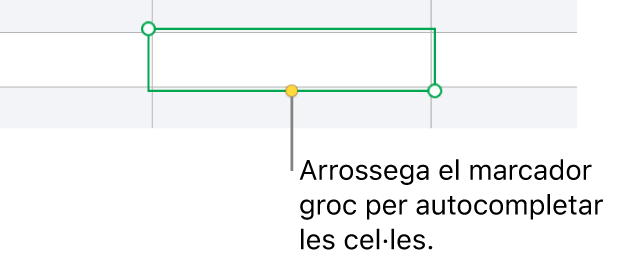 Una cel·la seleccionada amb un marcador groc que pots arrossegar per autocompletar cel·les.