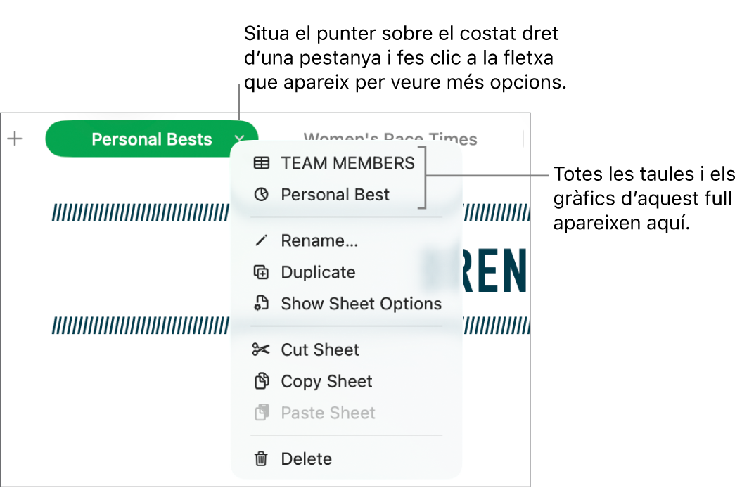 Una pestanya d’un full de càlcul amb el menú de dreceres obert, que mostra opcions com ara “Duplica”.