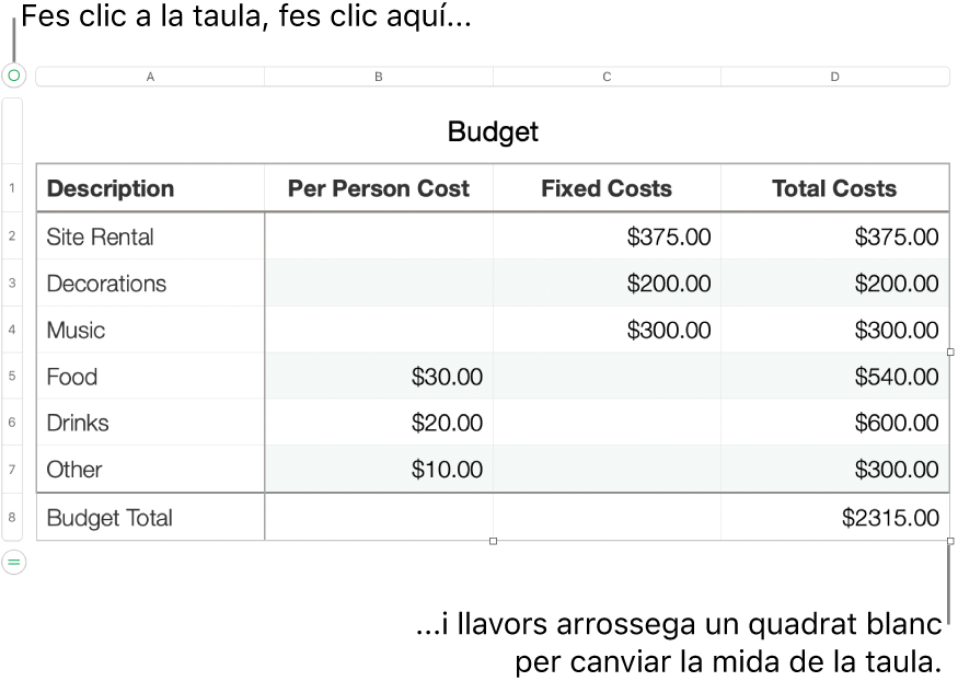 Una taula seleccionada, amb quadres blancs per canviar‑ne la mida.
