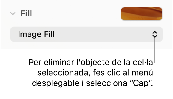 Control per eliminar un objecte d’una cel·la seleccionada.