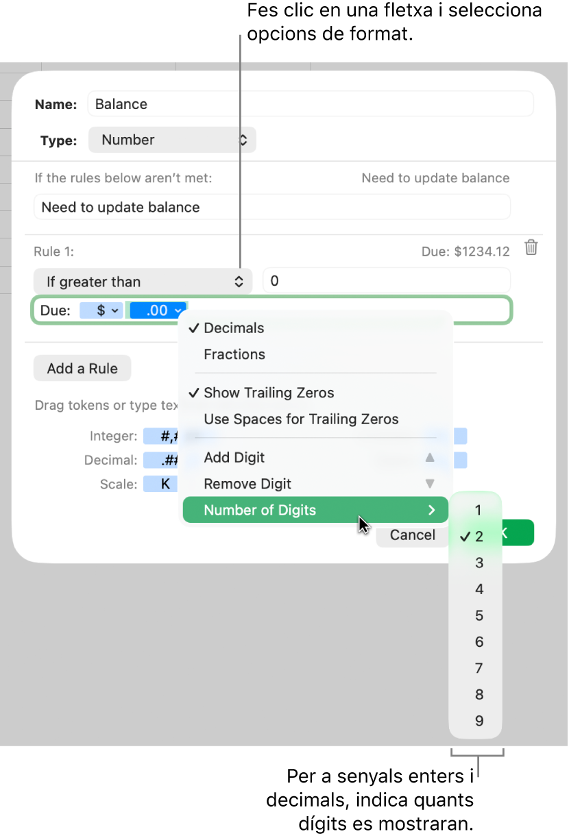 La finestra de format de cel·la personalitzat, amb controls per seleccionar les opcions de format personalitzat.